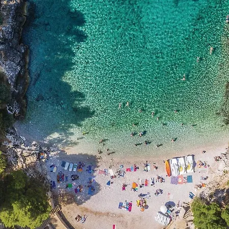 Διαμέρισμα Lovely In With Wifi *